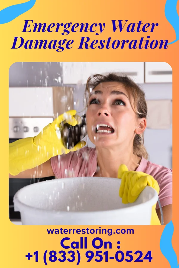 Emergency Water Damage Restoration in Bonny Doon, CA