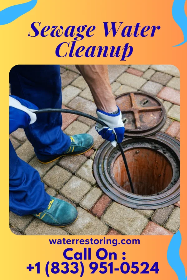 Sewage Water Cleanup in Bonny Doon, CA